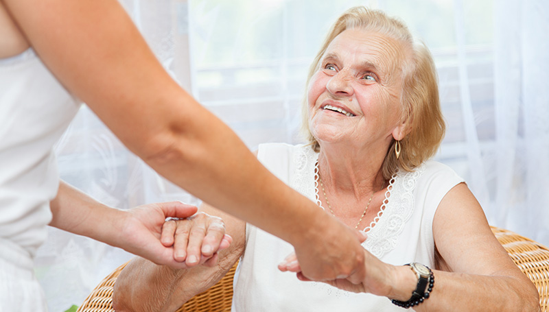 Daily Living Services Daily Living Services